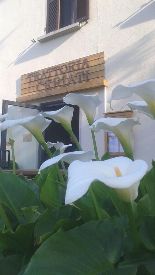 Trattoria Ceriati Room & Breakfast Сальсомаджоре-Терме Экстерьер фото